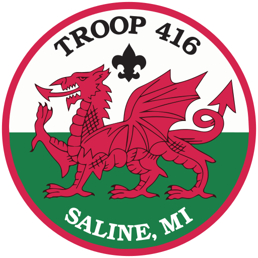 Saline Troop 439